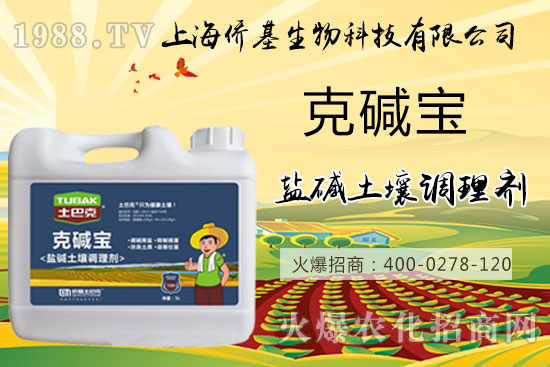 �����}�AΣ���������ˉA���������}�A��߀��һƬ������