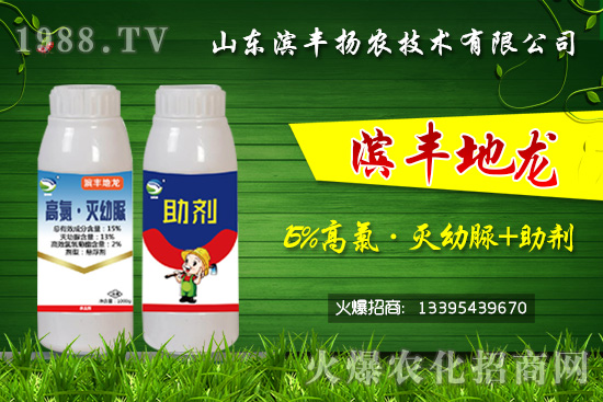 ���^�������������������Ч���Σ���15%���ȡ�������+�����������p���U��	