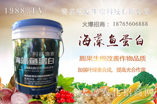 �߲˶�ֲ��ξ���죿�߲������`�^(q��)����Щ���߲�������������]��