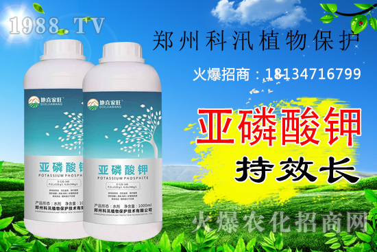 ������⛹�Ч�������C(j��)������Щ������������õĺ������