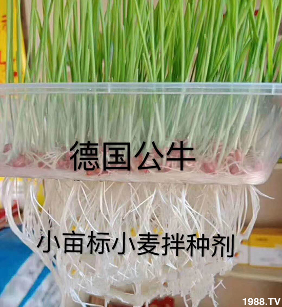 С����N�����a(ch��n)��С����N������x����С����N��Ʒ���x����