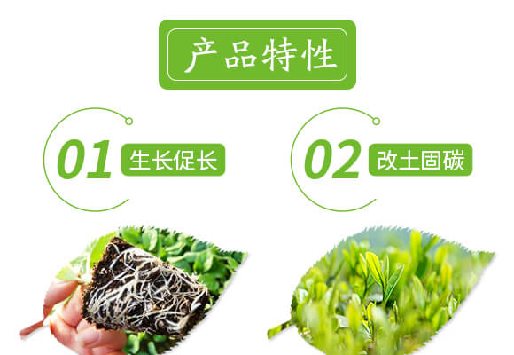 �VԴ�S�����-��ɫ����-���r(n��ng)˹�__04