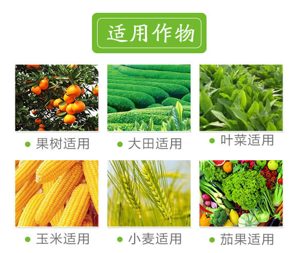 �VԴ�S�����-��ɫ����-���r(n��ng)˹�__07