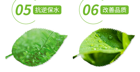 �VԴ�S�����-��ɫ����-���r(n��ng)˹�__06