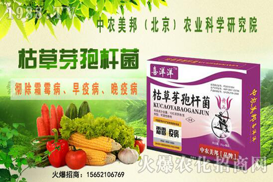 �ݲ�ѿ�ߗU���θ������ᣬ������Щ�������������Ό�������Щ��