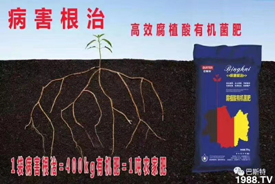     ���׌�Nֲ׃�ø��p�ɣ�һ��(g��)�ײ���ȫ���䷽����˹�ش󽪠I(y��ng)�B(y��ng)�ײͷ�����