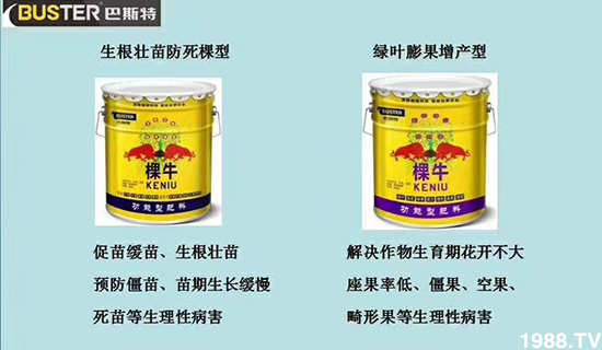     ���׌�Nֲ׃�ø��p����һ��(g��)�ײ���ȫ���䷽����˹�ش󽪠I(y��ng)�B(y��ng)�ײͷ�����