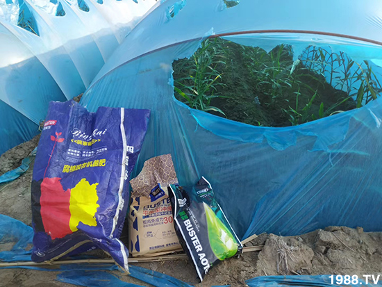     ���׌�Nֲ׃�ø��p����һ��(g��)�ײ���ȫ���䷽����˹�ش󽪠I(y��ng)�B(y��ng)�ײͷ�����