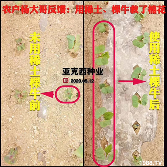     ���׌�Nֲ׃�ø��p����һ��(g��)�ײ���ȫ���䷽����˹�ش󽪠I(y��ng)�B(y��ng)�ײͷ�����