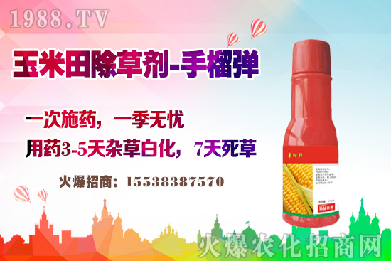 ������������v�������׳��݄��@�Ӵ򣬲��L�s�ݲ�������