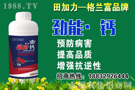 2020���}��ʲô�r(sh��)��N�����}���NֲҪע����Щ���}��