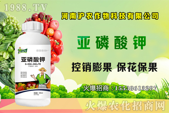 ���[����Ҫ�c��֪���᣿���[��Ҋ���x������Щ����η��Σ�