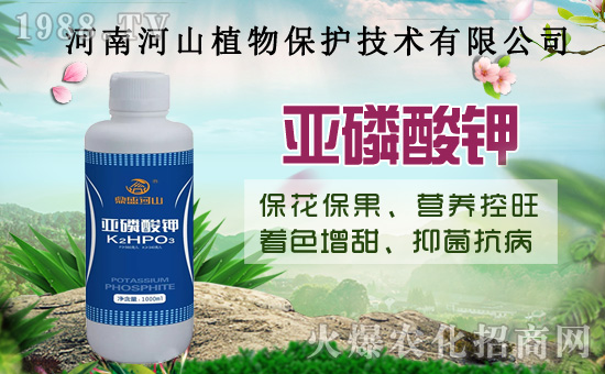 С�����߼Ӵa�������u�Z��2020��8��14��С���r(ji��)�����飡