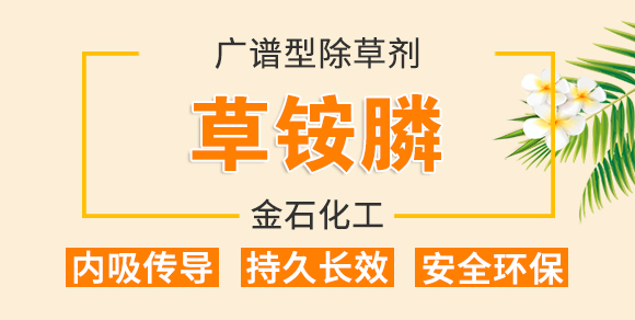 10%���@�-�G���C-��ʯ����_01