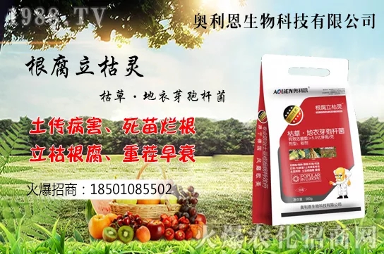 �S����ʲô����(ji��)�������S���˷Nֲ������B��