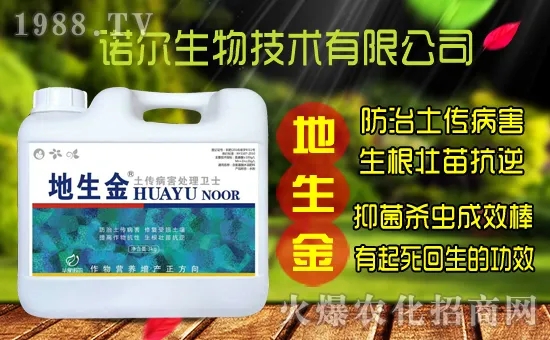 �S���˷N����ô�ɼ����S���˷N��r(ji��)������Xһ����