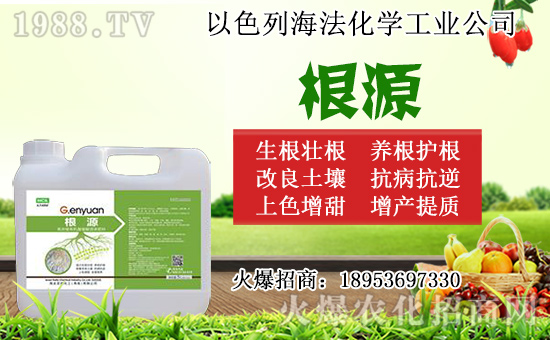 �o������ôǤ�����o����Ǥ��r�g��Ǥ�己ֳ������