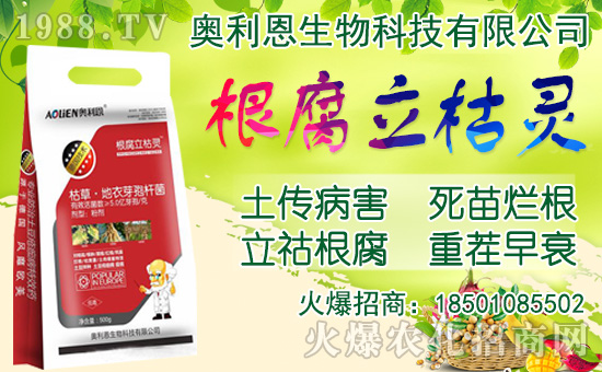 ���[���ʩ�������[�Nֲ���������N�r�g��