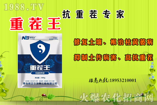 ɽ��ʲô����(ji��)������ɽ�����Ҫ�a(ch��n)���������ôʳ����