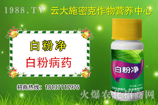 ʲô��ֲ��Դ�r(n��ng)ˎ��ֲ��Դ�r(n��ng)ˎ�c���W(xu��)�r(n��ng)ˎ�^(q��)�e������