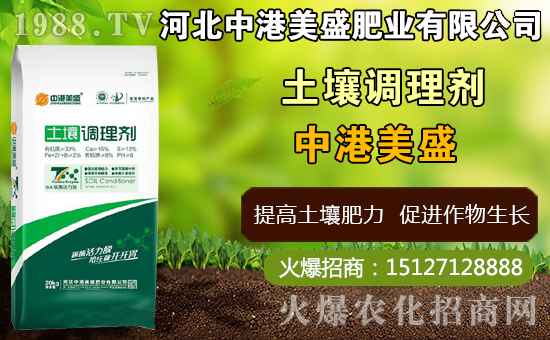 ��ˎ̫�Ӆ�ʲô�r(sh��)�g�Nֲ��̫�Ӆ�ʲô�r(sh��)���ի@���ã����Nֲ���g(sh��)��