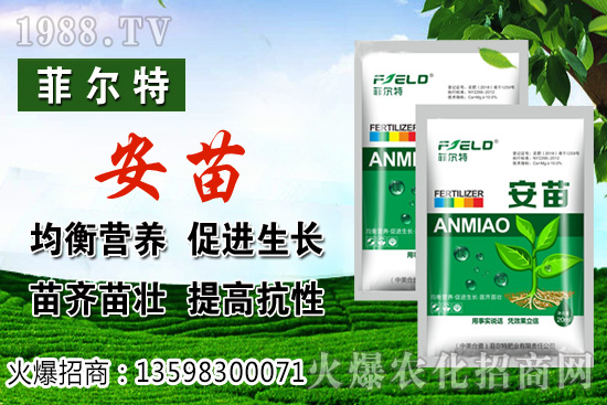 ���\�����L���h(hu��n)����Ҫ�������\���Nֲ�����ռ��g(sh��)��