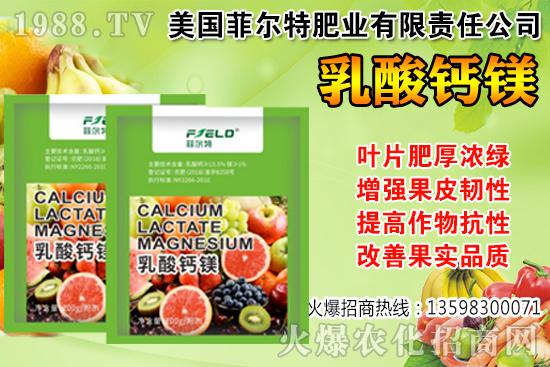 ���Ѳ��պ���α��r�����Ѳ��պ���@ע����헣�