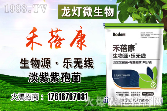 ���t���ڷ۷����������t��¶��ʹ���Nֲ�кβ�ͬ��