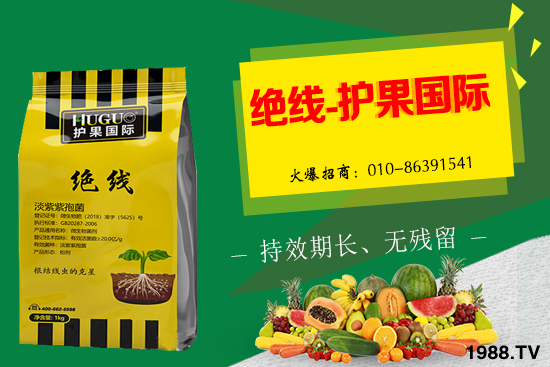 �Ә����L�l������Щ���Ә�����������g��