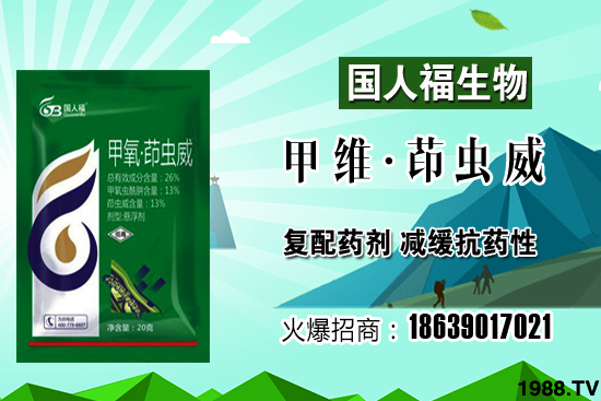 ���x(ch��ng)��