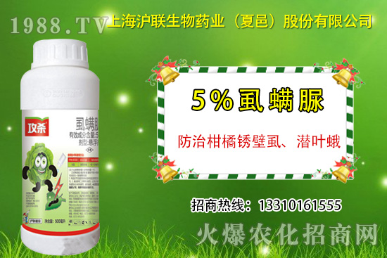 �����P��ʭ��ʲô�Y������ô���Σ������P��ʭ��ˎ���]