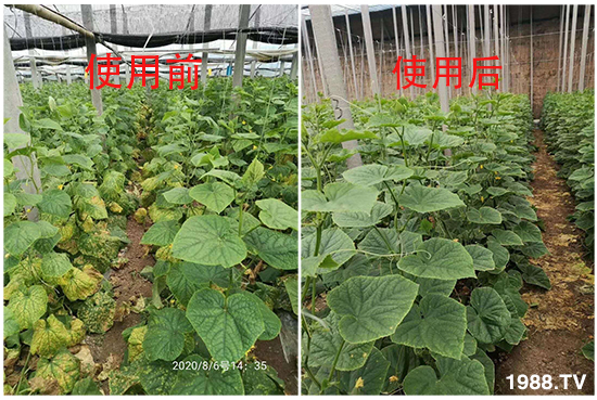 �а߃�-����