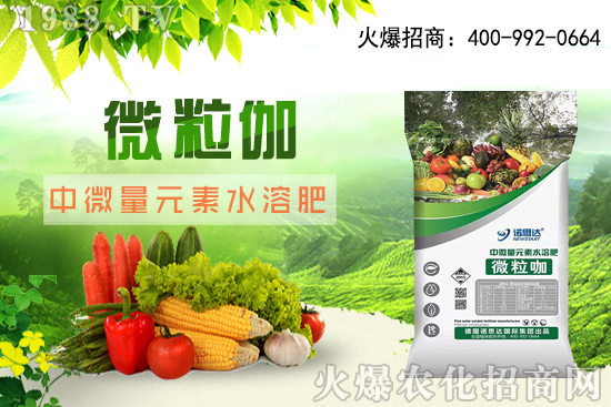 ����ԓ��ô��������������r(sh��)�g������ע��Ҫ�c(di��n)��