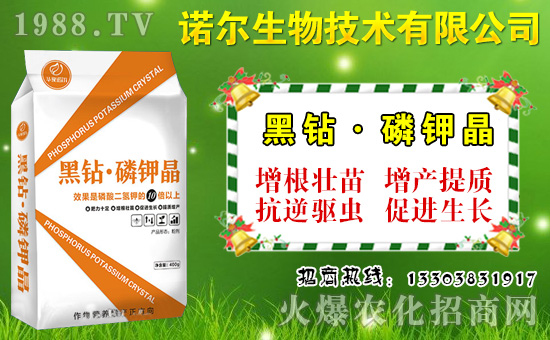 ����˶����ʩ�����˶�������c(di��n)�cʩ�ʼ��g(sh��)��