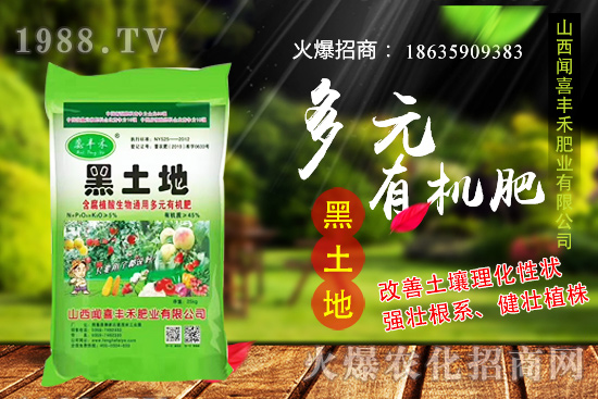 生姜如何選種,生姜什么時候種植?種植前需注意哪些問題?