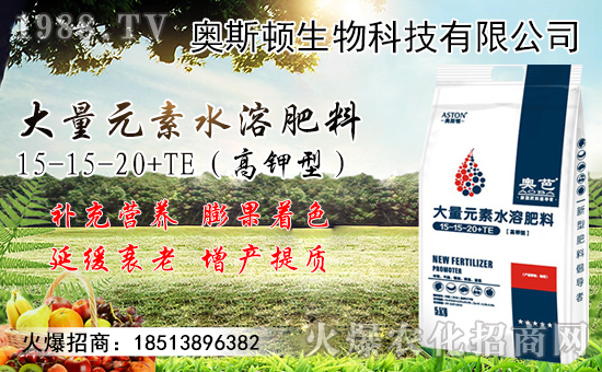 �����޽ӷ�������Щ�������޽ӳɻ�����������