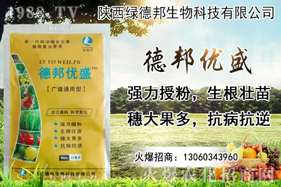 �����r������Xһ���������Nֲ�ĭh(hu��n)�������x������