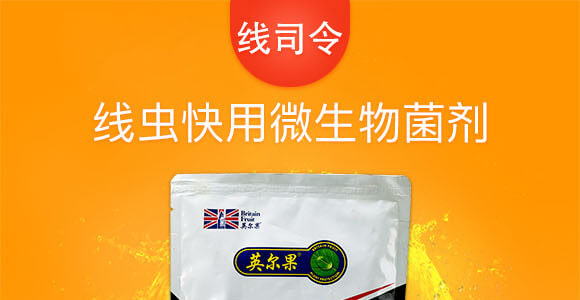 ���x����΢�������-��˾��-Ӣ����_01