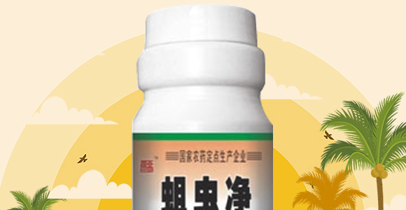 ���A����-���x��_02