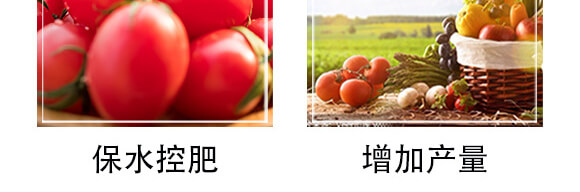 �����S��������ˮ������B(t��i)��+ֲ��I�B(y��ng)�ͣ�_06