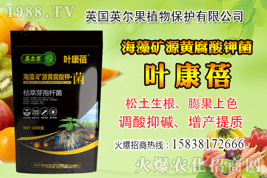 ��ô�Д����׺�ˮ��������������ˮ���й��ж���(j��ng)���