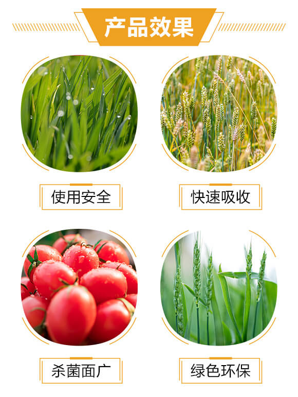 �����ٚ�ˎ��-�۾S�~-�����S_04