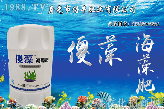 �Ј��𲽻ؚw�������������󶹃r(ji��)��_�߻��䣡