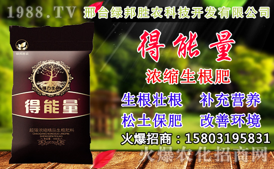 2020��С���N������x���߮a(ch��n)С��Ʒ�N����Щ��