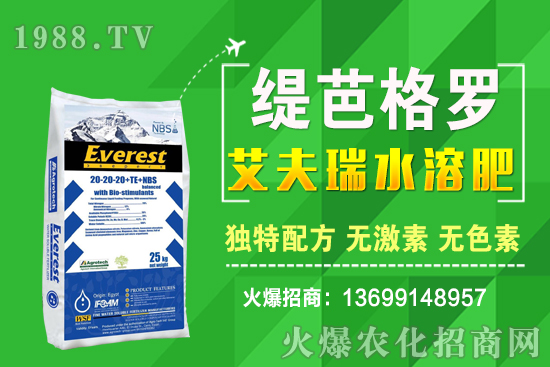 С���r��q�ˣ�ʮ��С�������A�y��