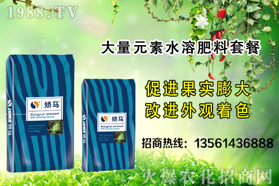 �＾����ʩ�ʵĺ�̎����Щ���＾����ʩ��ָ��(d��o)������