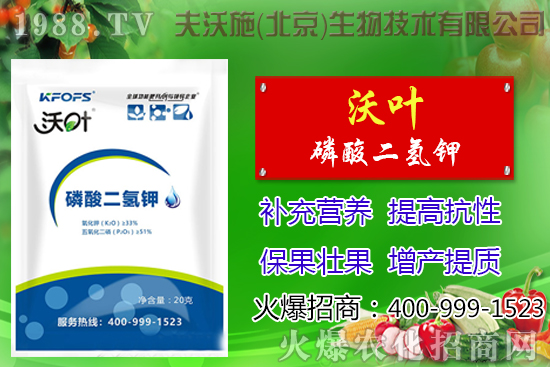 ���t��ժ�~����Щ��̎������ժ�~���g(sh��)��ע�����(xi��ng)��