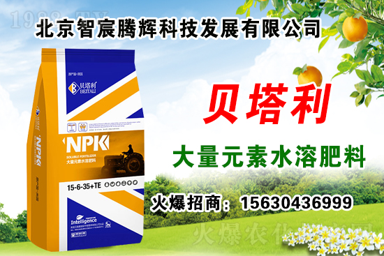 2020��Nʲôˎ����ٍ�X(qi��n)���Nֲˎ�����a(b��)�N�᣿��Щˎ���зNֲǰ����