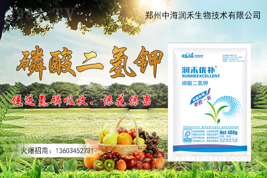 ����һ���굽��ԓ��ôʩ�ʣ�����ʩ��ע���������Щ��