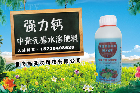 ��ǰС������������������������g(sh��)���h